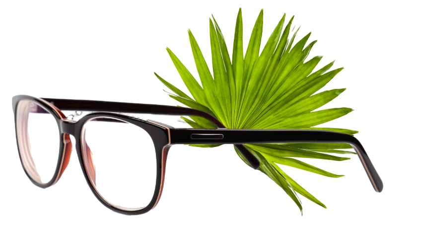 Eine Brille mit einen Palmenblatt im Hintergrund.